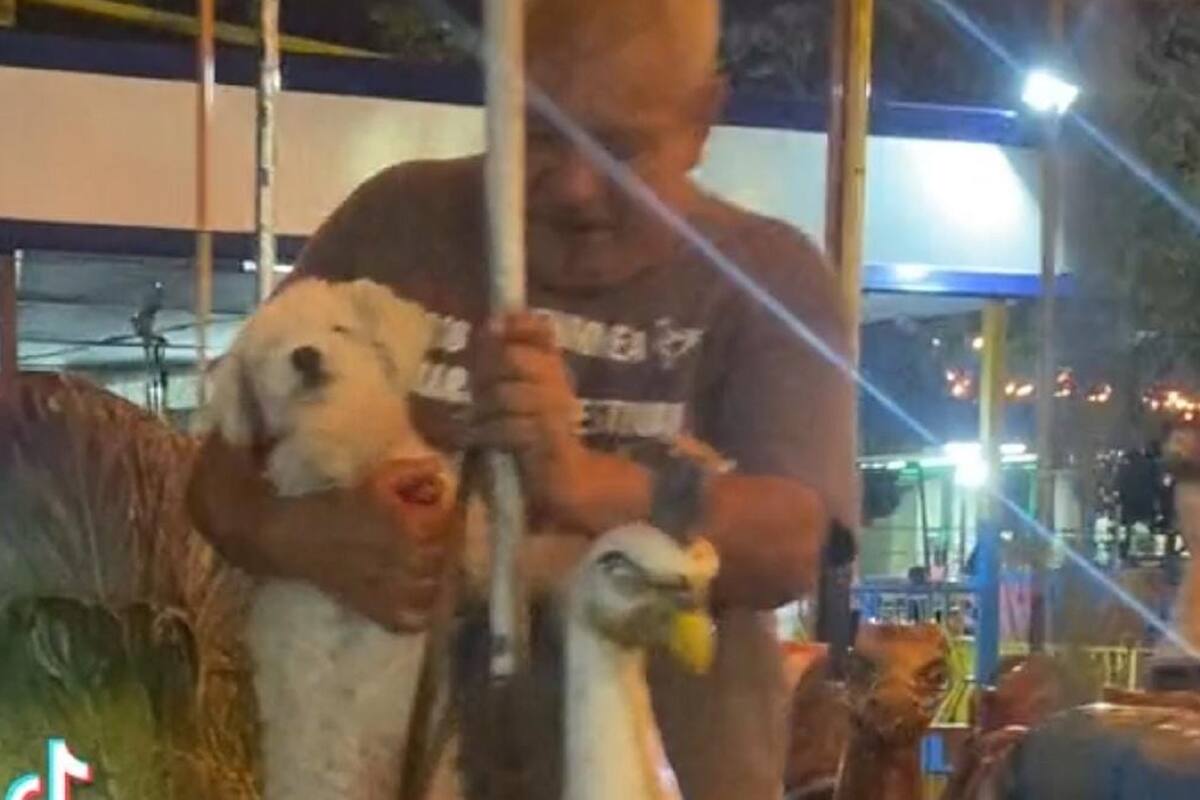 Hombre se vuelve viral en TikTok al llevar a su perrito al carrusel