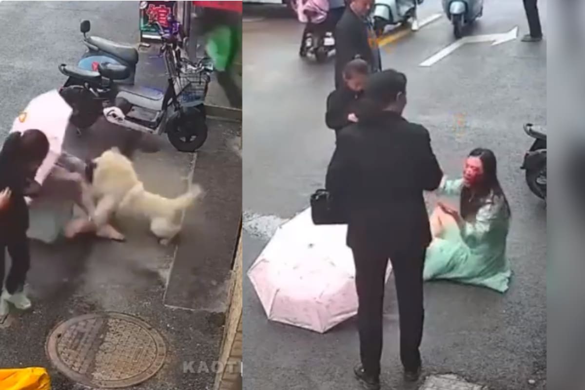 VÍDEO: un perro DEVORA el rostro de una mujer en Japón