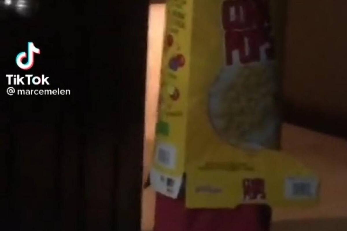 Niño queda atorado en una caja de cereal y genera la risa de todo TikTok
