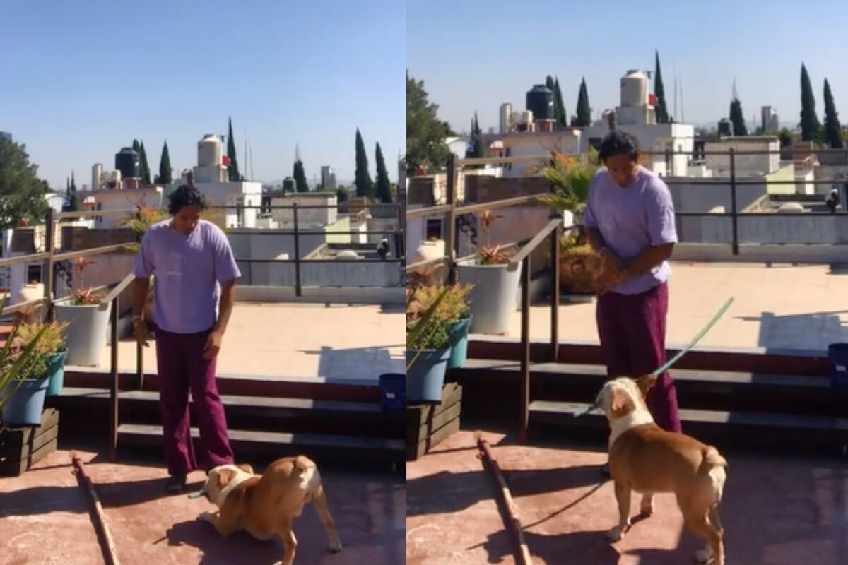 Perrito ‘castiga’ a su dueño golpeándolo con un palo