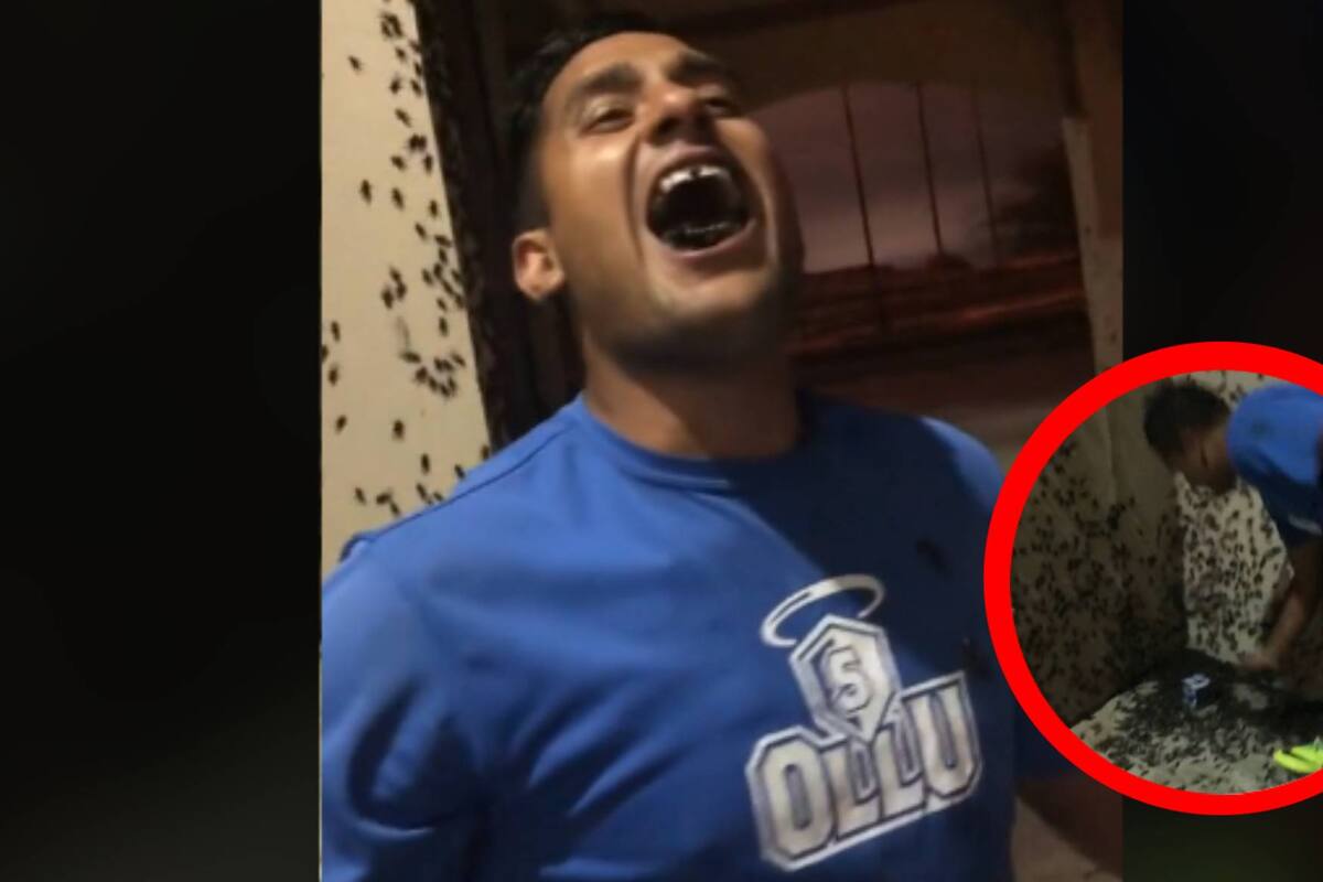 VIRAL: Hombre sorprende al comer grillos vivos