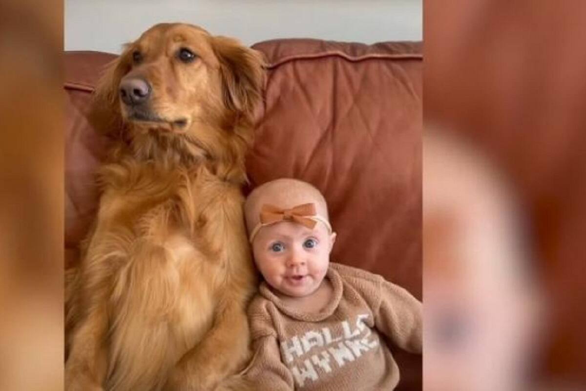 Esta Bebé y su perrita logran enternecer a todo Internet con su inseparable amistad