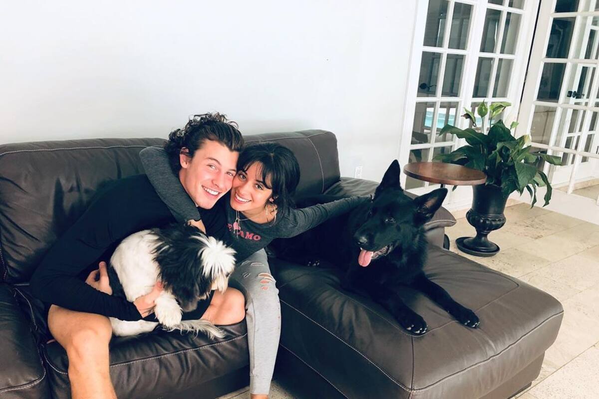 Camila Cabello calla rumores y así demuestra que ama a Shawn Mendes