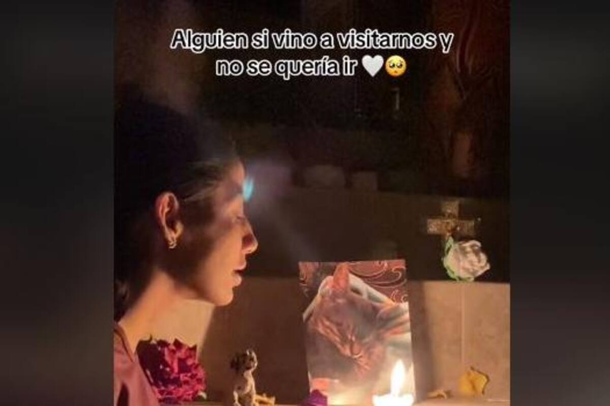 Gatito se le “aparece” a su familia en el Día de Muertos para Mascotas