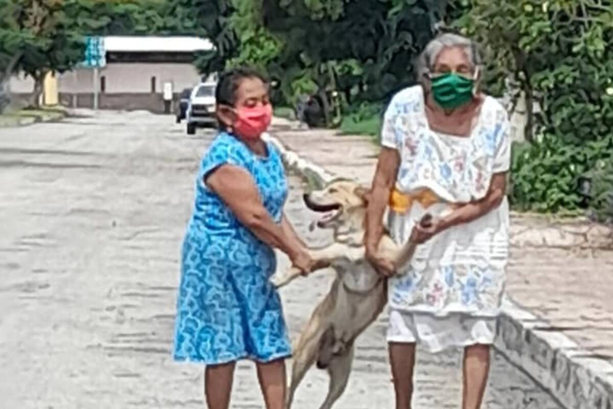Perrito no quería regresar a casa y sus dueñas lo obligan a volver