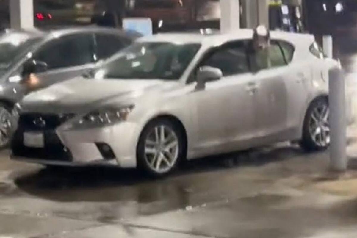 VIDEO VIRAL: Perrito le pita a su dueño para que se apure