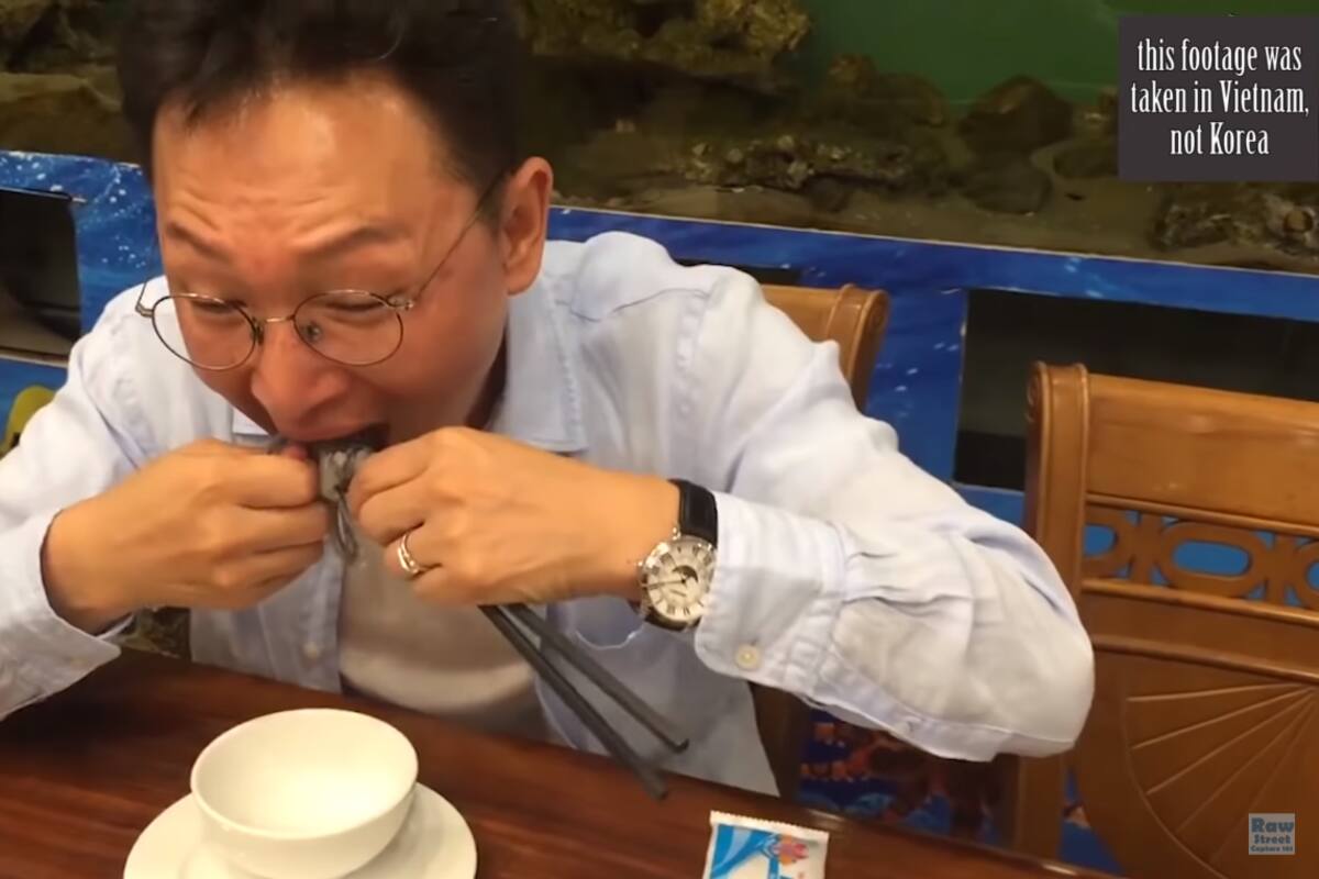 Hombre se come un pulpo ¡completamente vivo!