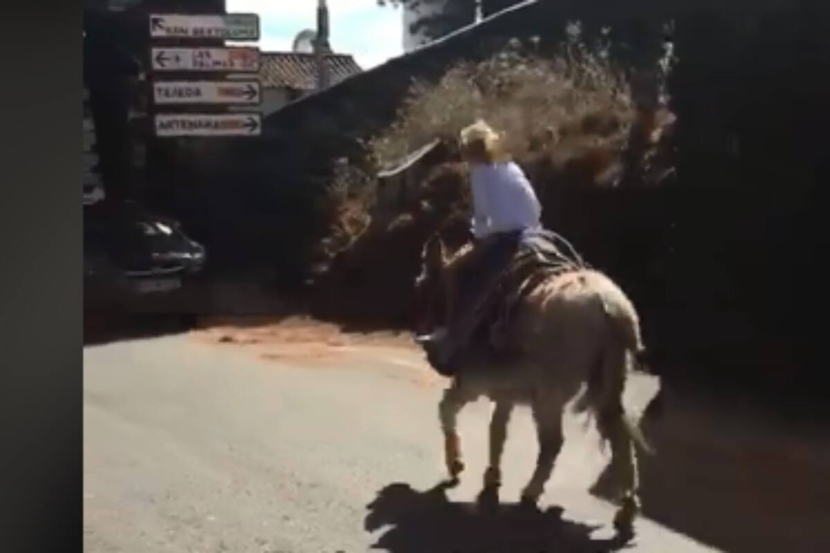 Tiktok: Burro se da la fuga con una pequeña niña montada encima