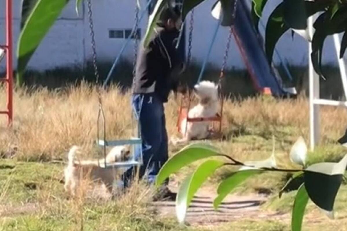 “TikToker” grababa a su vecino jugando con sus perritos en el parque