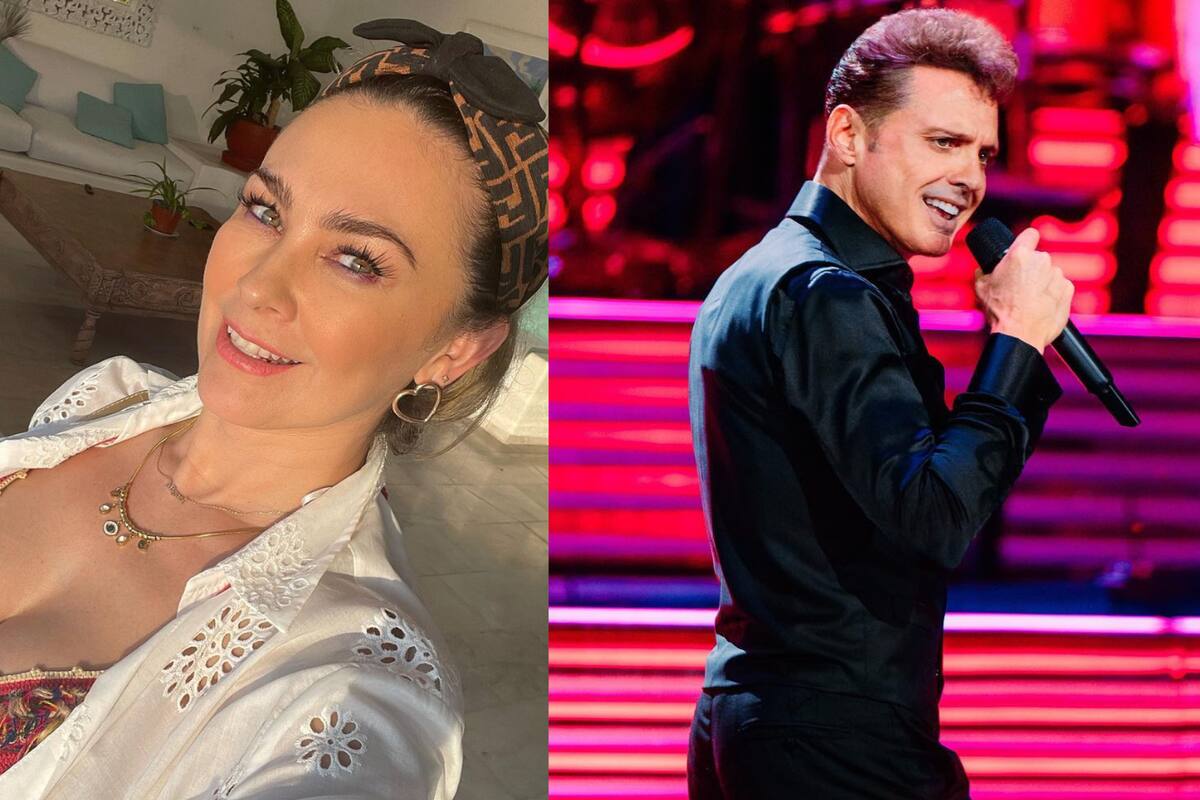 ¡Luis Miguel ya no es deudor alimentario!