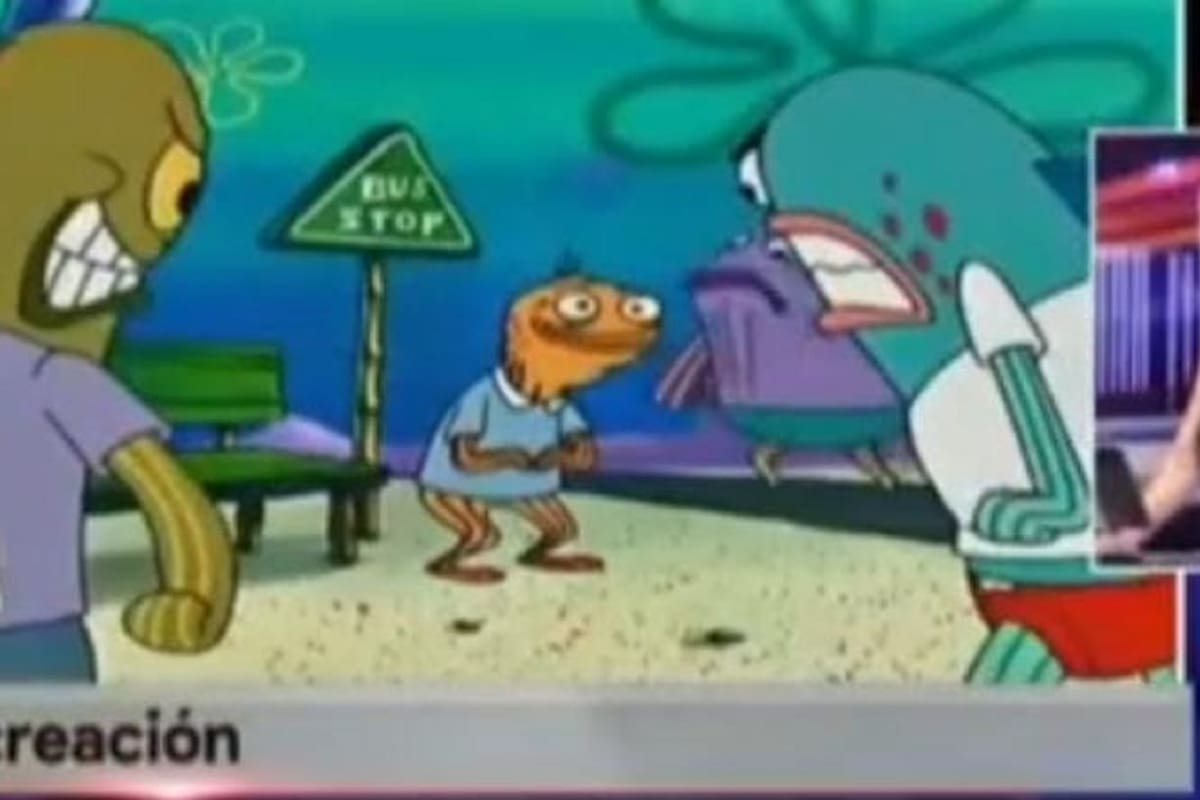 Noticiero se vuelve viral en TikTok al dar las noticias con video de Bob Esponja