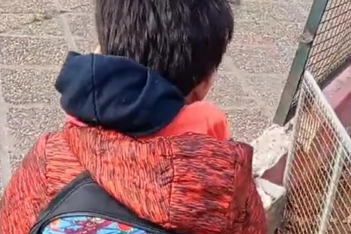 Argentina: Mamá se vuelve viral al mostrar lo que encontró en la mochila de su hijo