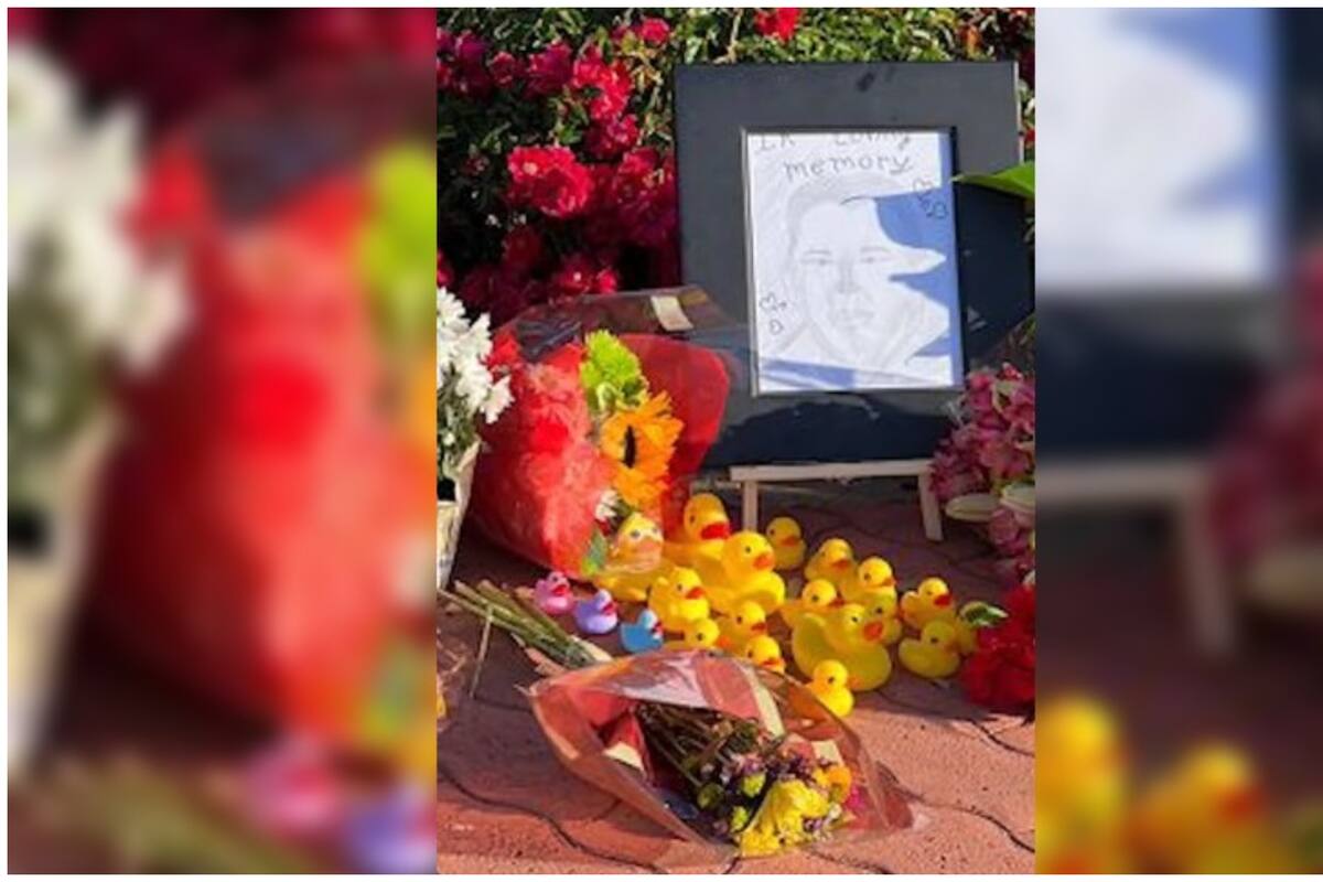 Este es el trágico final de un hombre que ayudaba a cruzar la calle a una familia de patos