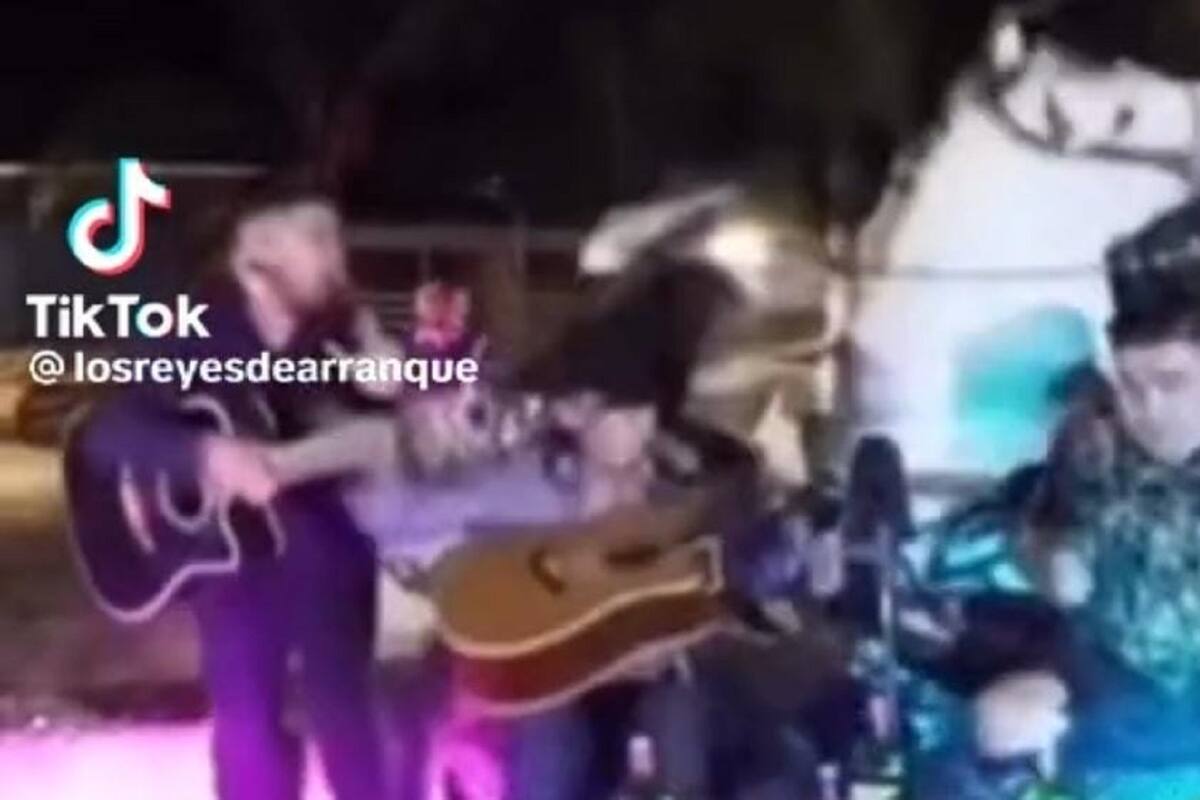 TikTok: Caballo tropieza y cae sobre músicos que estaban tocando