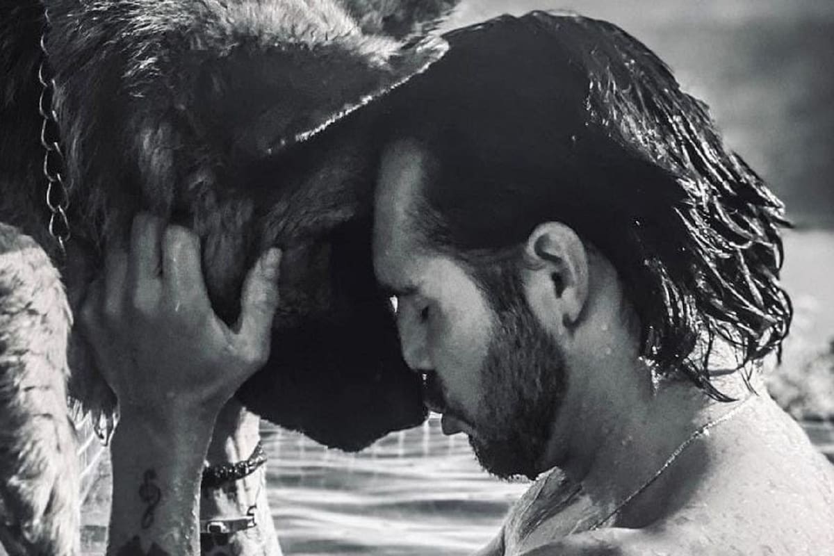 José Ron le da el último adiós a su perrito con emotivo mensaje