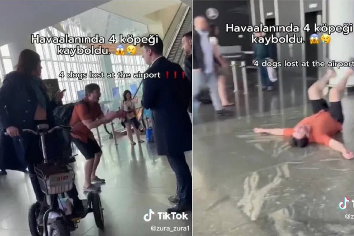 VIDEO VIRAL: Hombre entra en pánico al ver que aerolínea perdió a sus cuatro perros