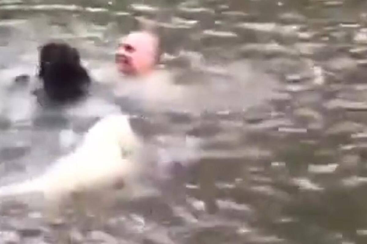 TikTok: Perrito se arroja al río al ver caer a su dueño