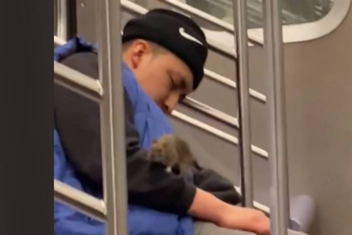 TikTok: Hombre se queda dormido en el metro y se le sube un ratón