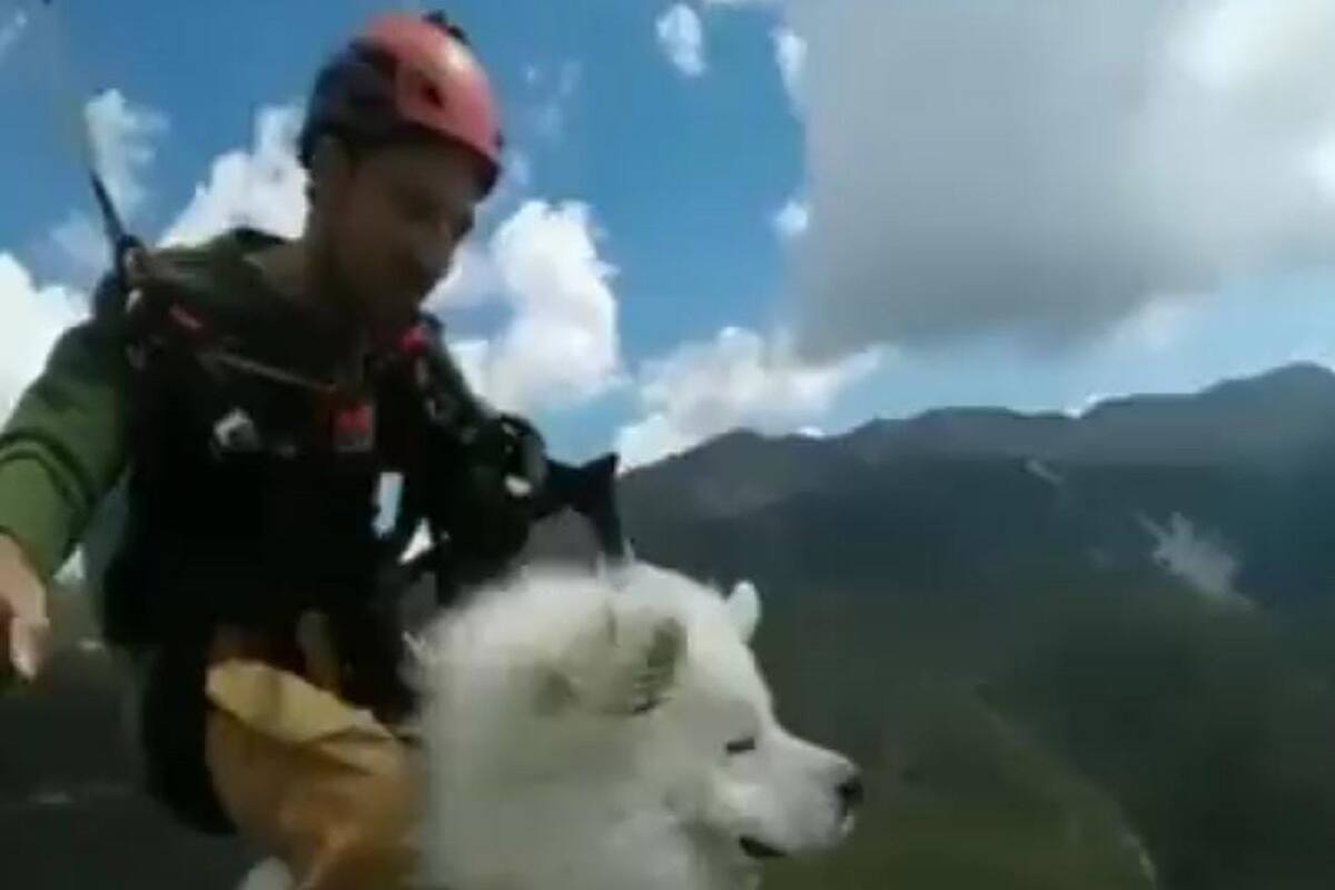 VIDEO VIRAL: Hombre se tira en paracaídas con su perrito y causa sensación en redes