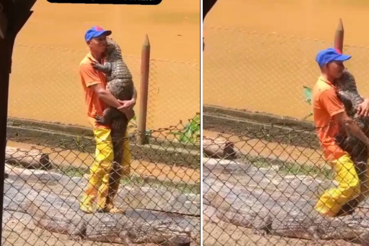 VIDEO VIRAL: Hombre baila con cocodrilo bebé y conmueve a todos
