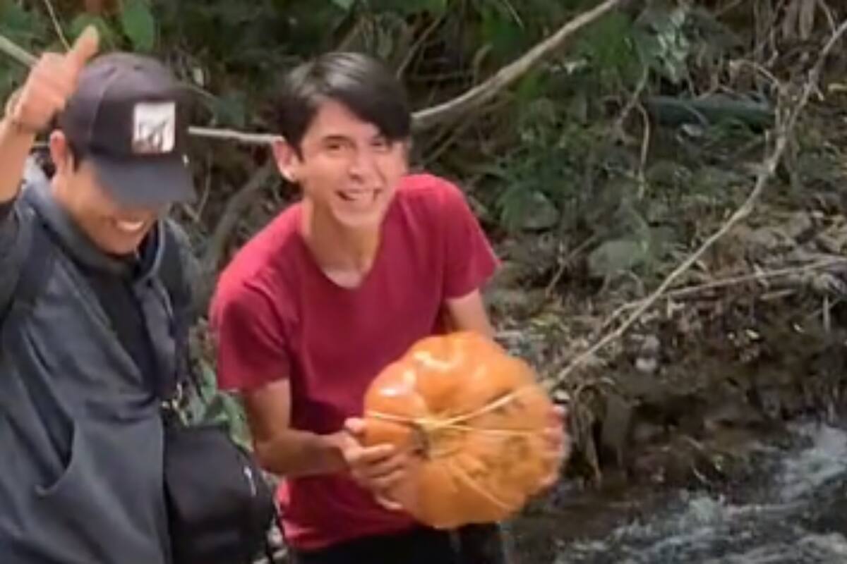 Jóvenes encuentran calabaza con objetos de brujería en su interior