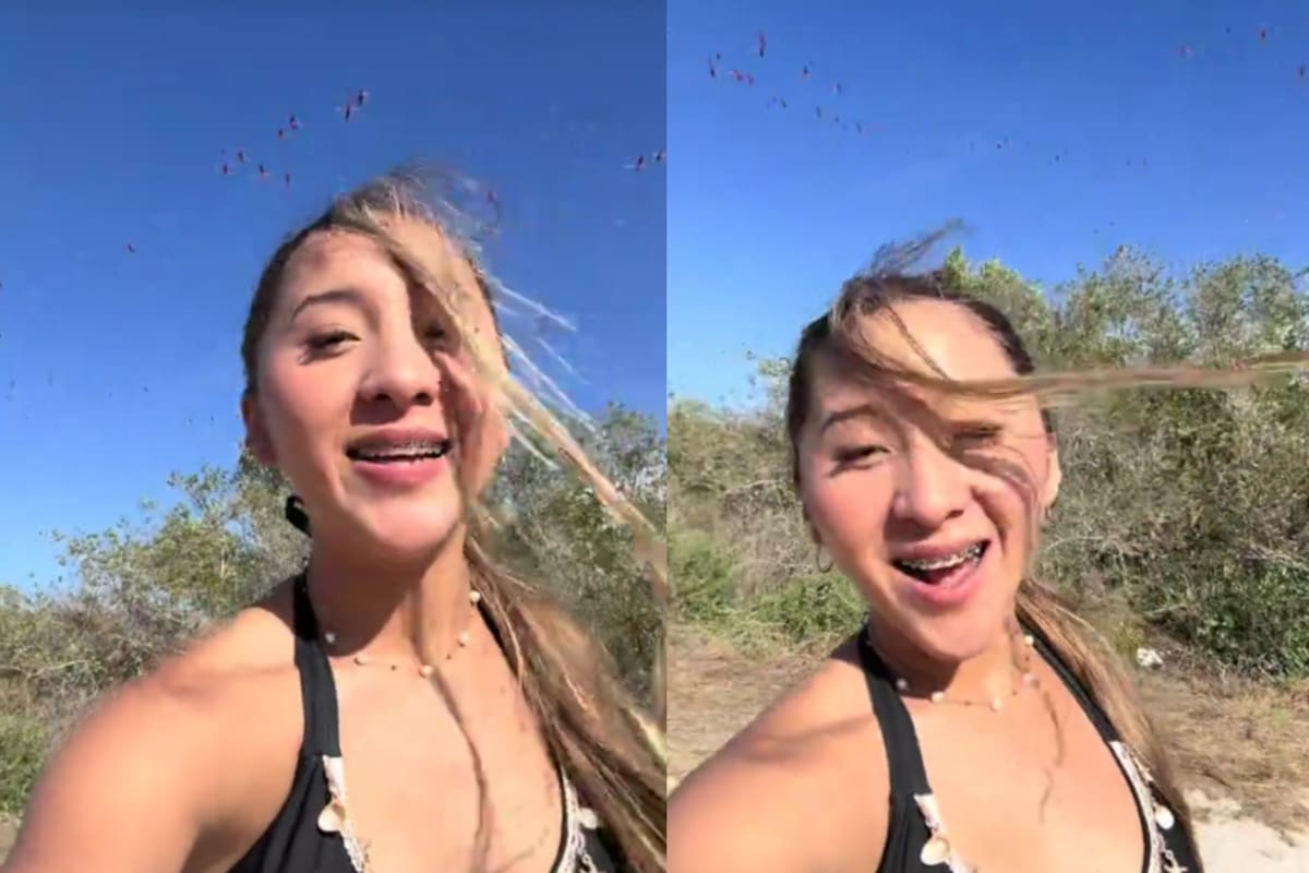 Influencer provoca controversia al ahuyentar flamencos con música de Yeri Mua en los humedales de Sisal, Yucatán (VIDEO)