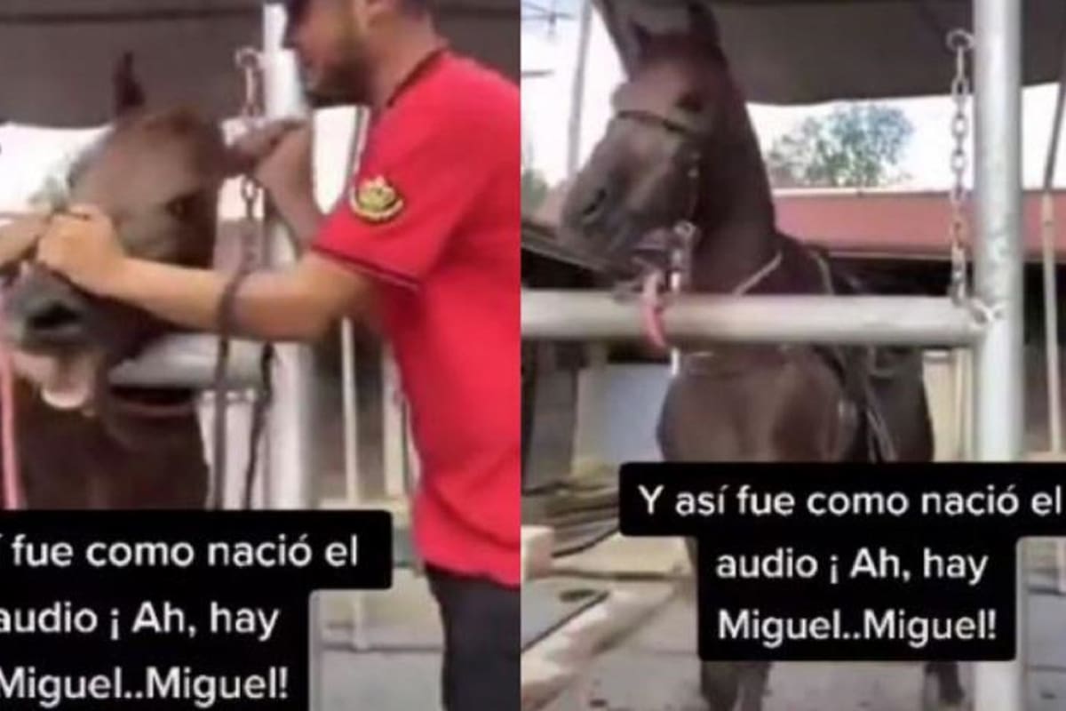 "¡Ay, Miguel!": Este es el video original del audio viral de TikTok