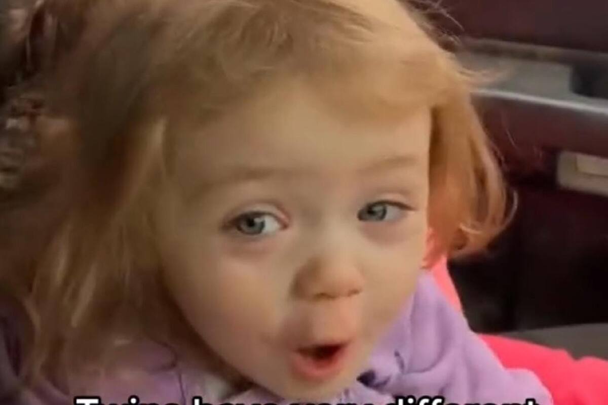 Gemelas se vuelven virales por sus diferentes reacciones al ver una vaca