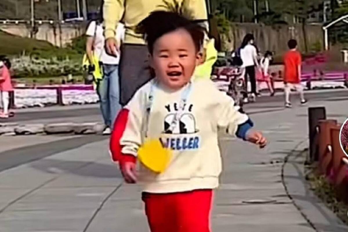 Niño genera ternura en todo TikTok por su reacción al darse cuenta que su diente de león “desapareció”