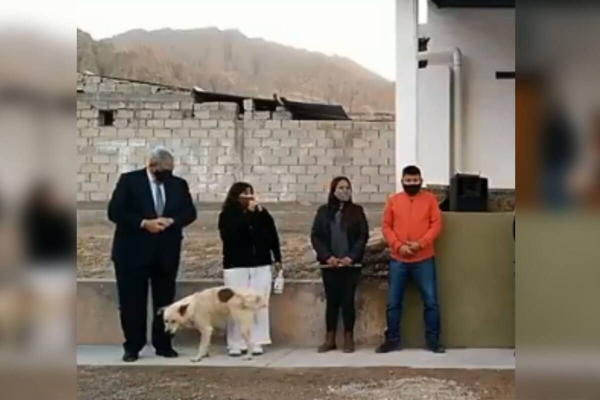 Perro irrumpe en acto político y orina a mujer