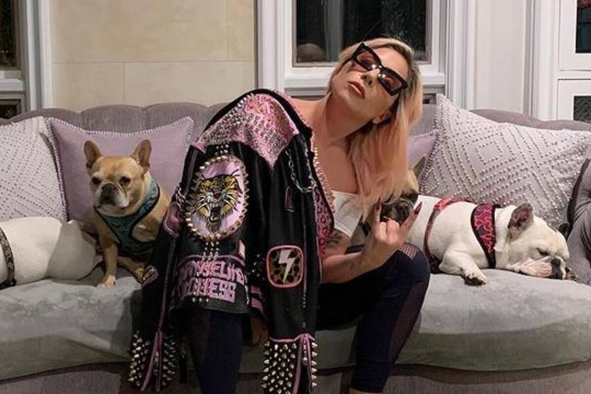 Disparan a paseador de perros de Lady Gaga y secuestran a dos de sus mascotas
