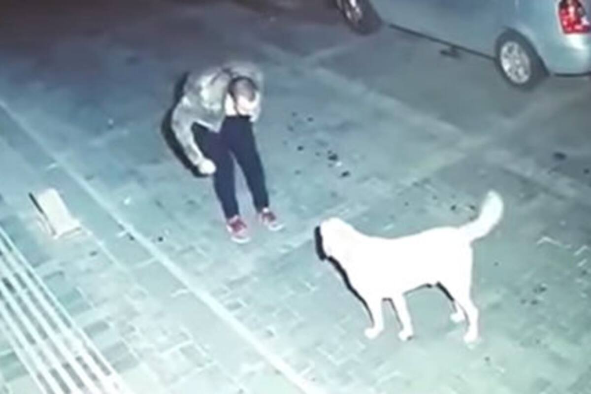 hombre borracho baila con un perro callejero ¡y termina adoptándolo!