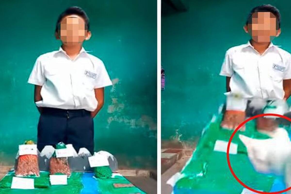 VIDEO VIRAL: Gatito arruina exposición virtual de estudiante que presentaba una maqueta