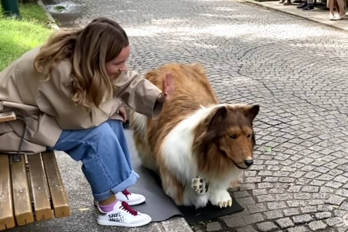 VIRAL: Hombre gasta miles de pesos para convertirse en un perro