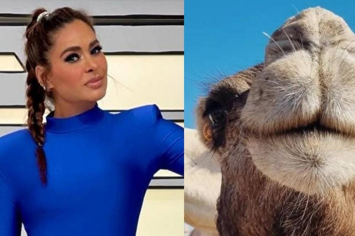 Galilea Montijo revela que le ofrecieron 150 camellos a su esposo por ella en Marruecos