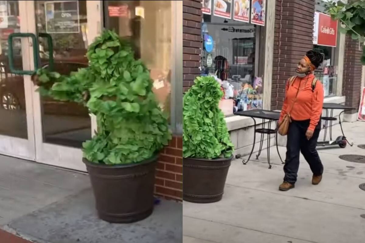 Hombre se viste de planta y asusta a transeúntes