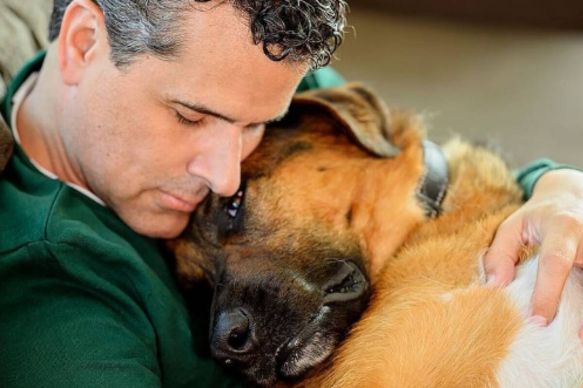 Marco Antonio Regil anuncia que dará en adopción a su perrita y le llueven críticas