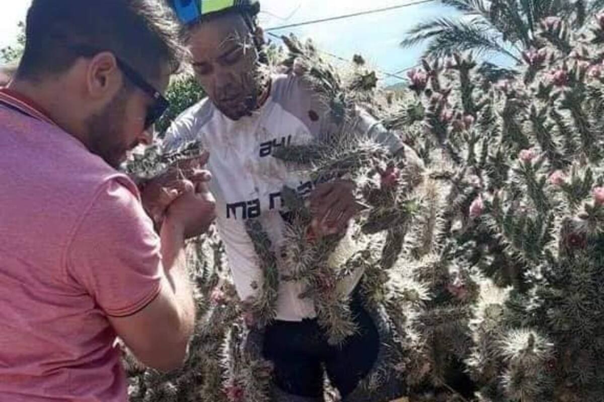 ¡Qué dolor! Ciclista cae sobre unos cactus y quedan clavados en su cuerpo