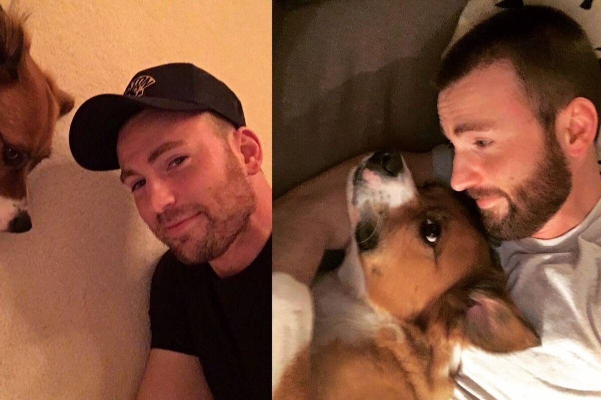 Chris Evans rompe el silencio luego del error con sus fotos íntimas