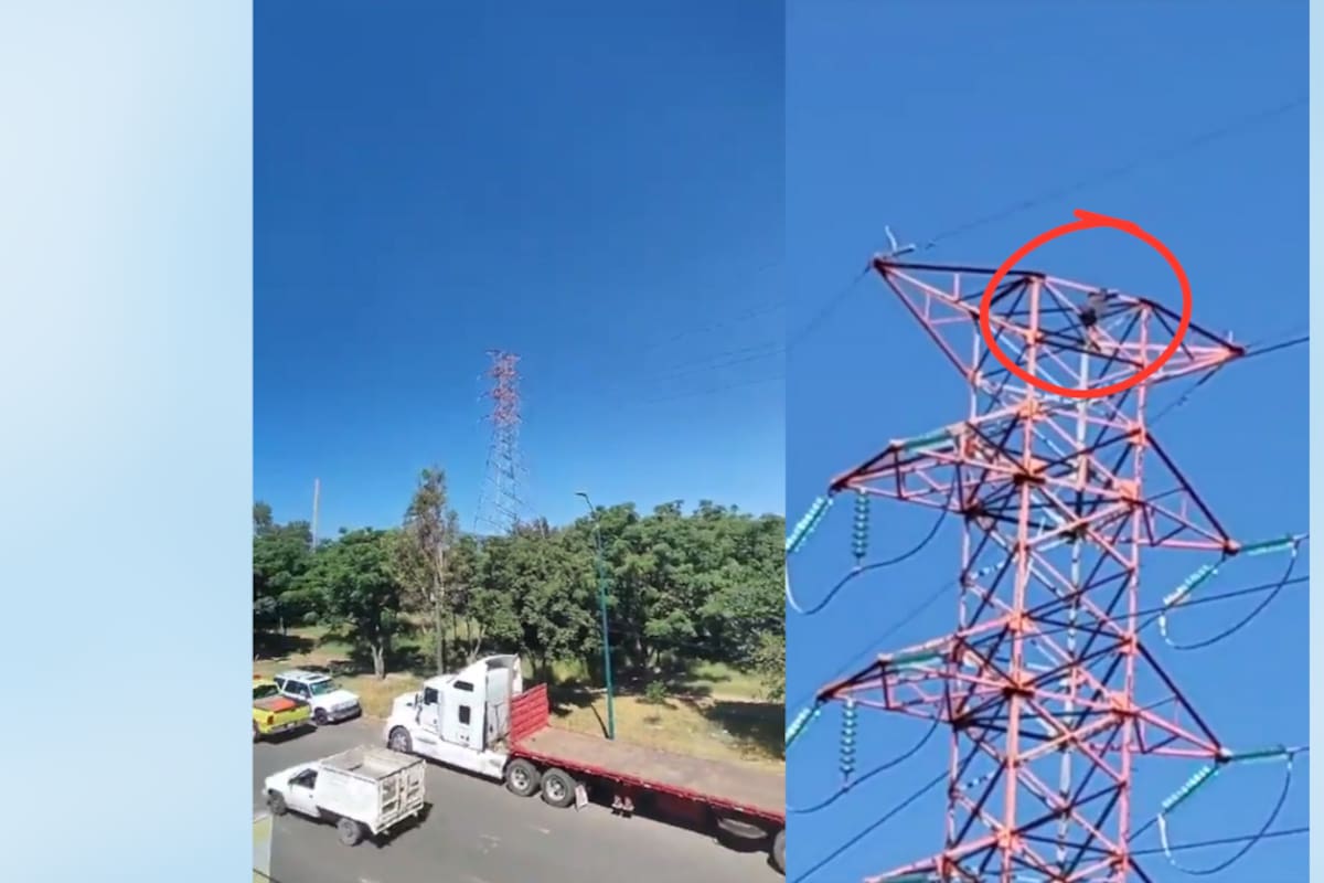 VIRAL: ¡mujer trepa una torre de la CFE y casi cae de 35 metros de altura!