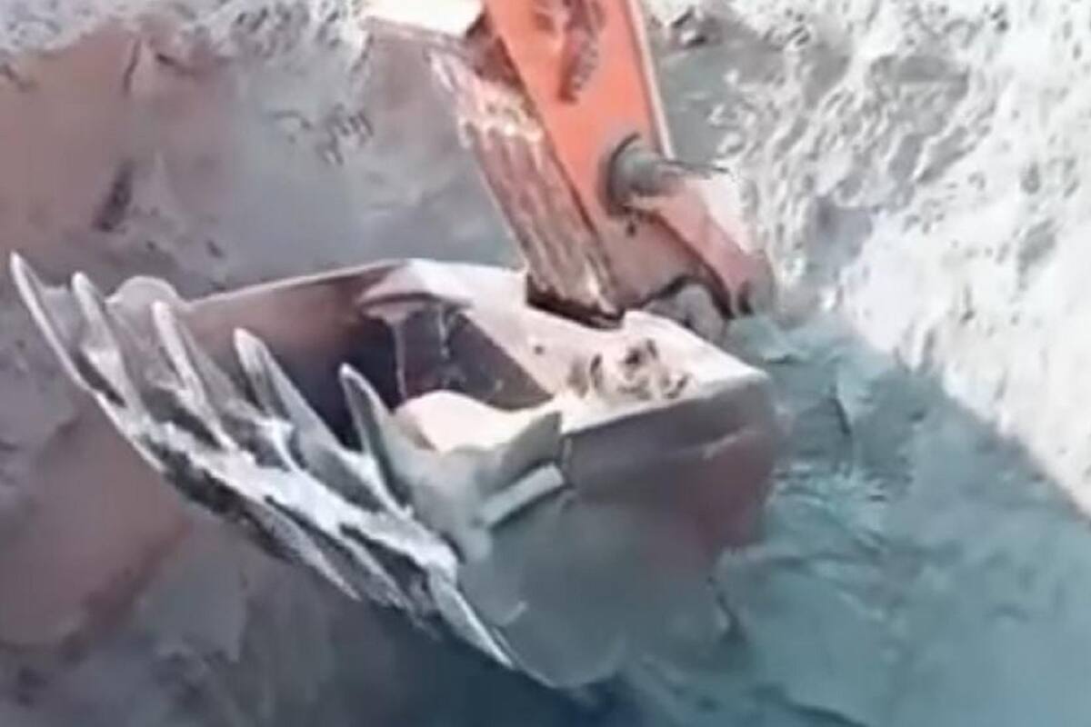 VIDEO VIRAL: Rescatan a perrito con máquina excavadora