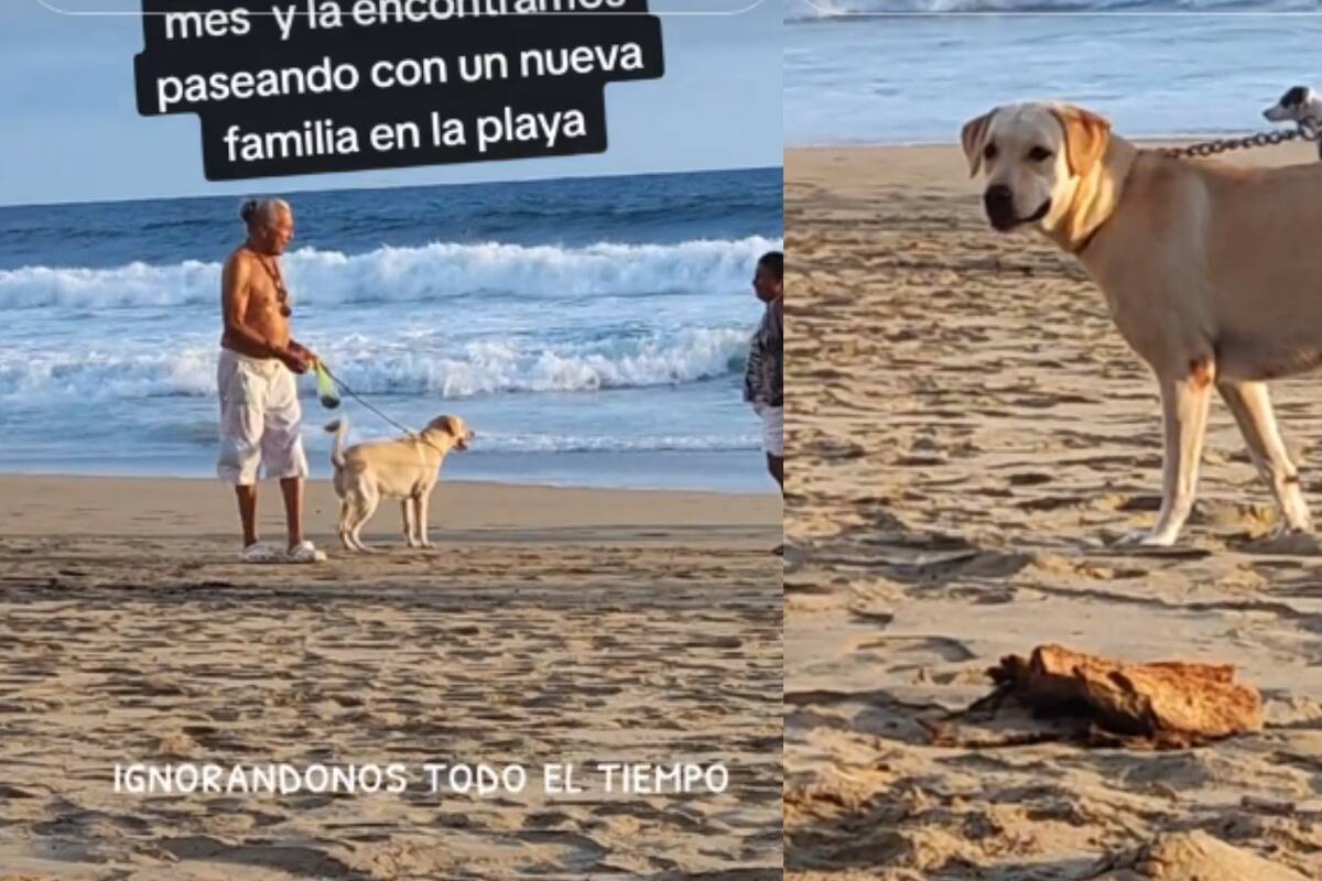 Perrita "infiel" ignora a su familia por el cariño de otro hombre