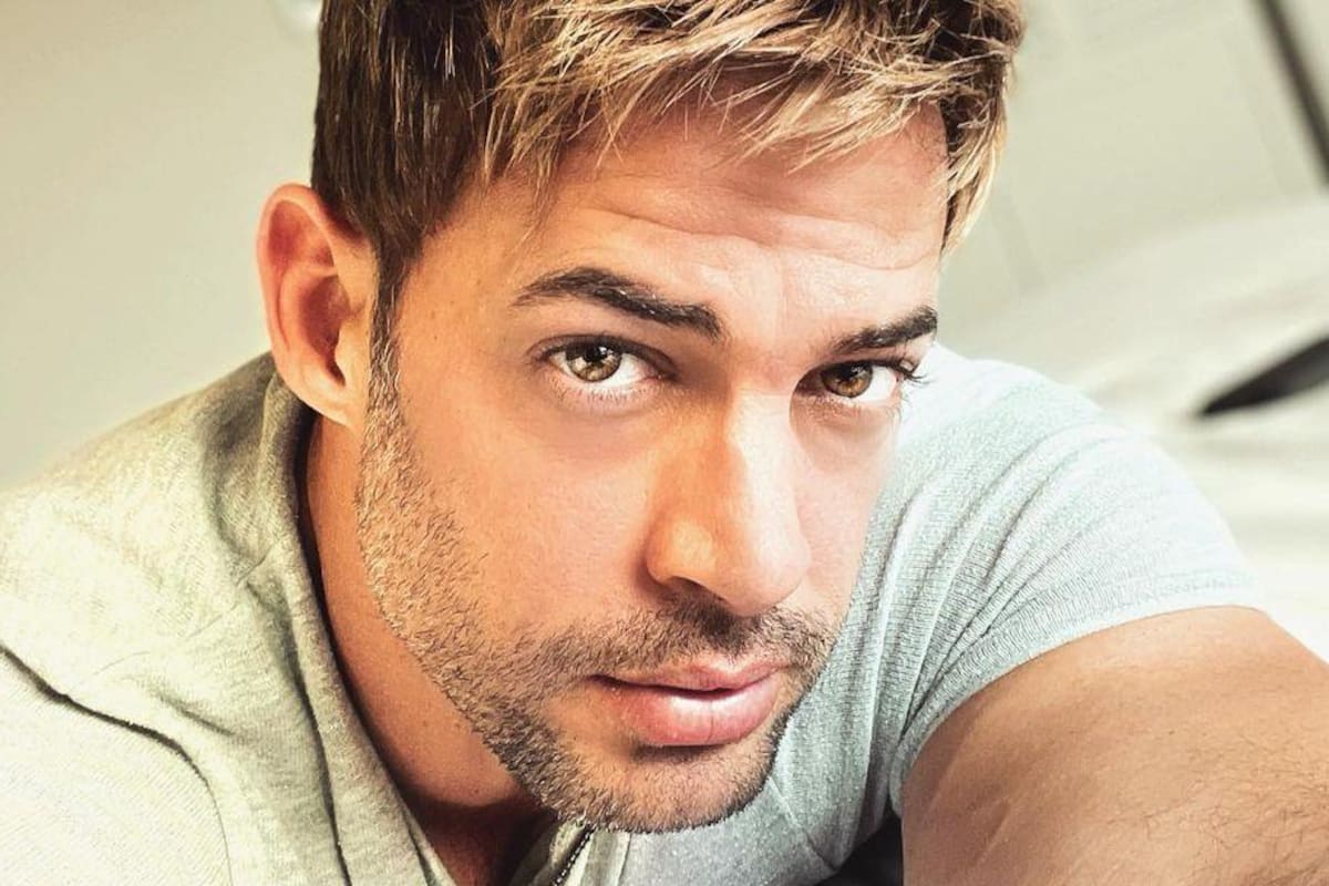 William Levy podría tener nuevo romance