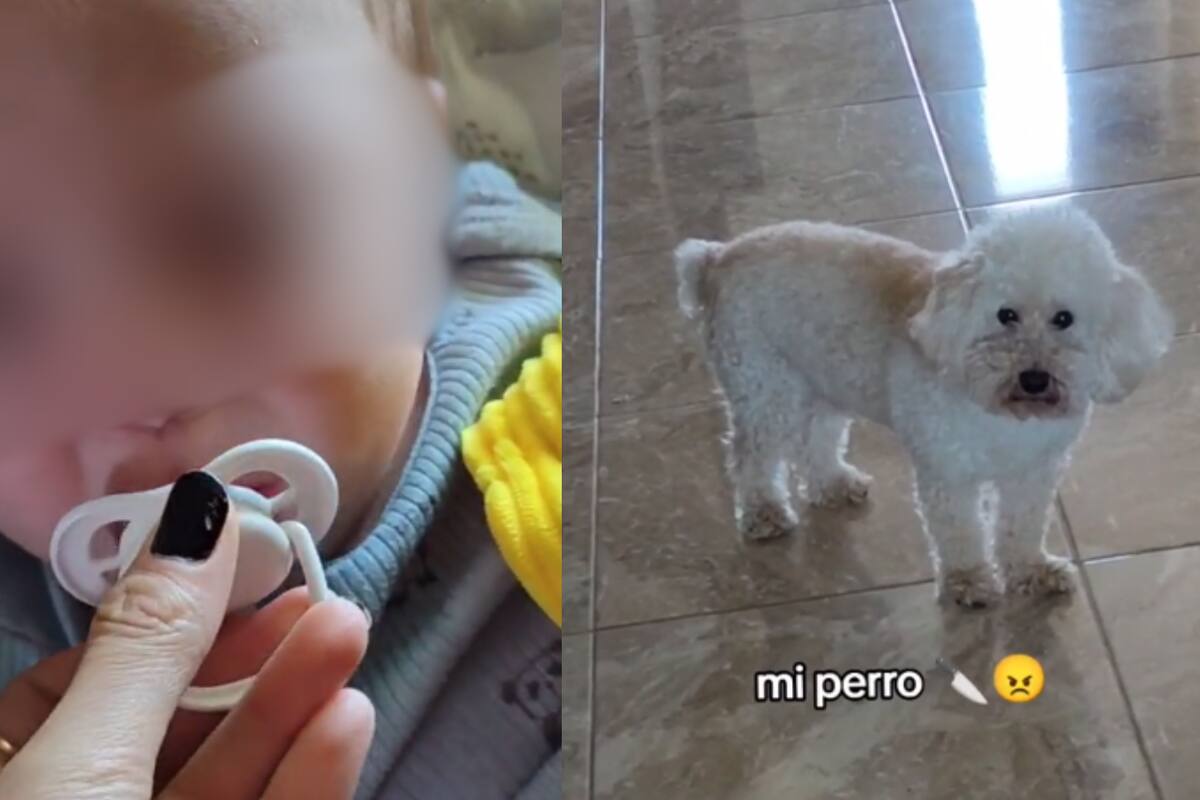 ¡Como todo un guardián!: Perrito juzga a su dueña por dejar llorar a su bebé