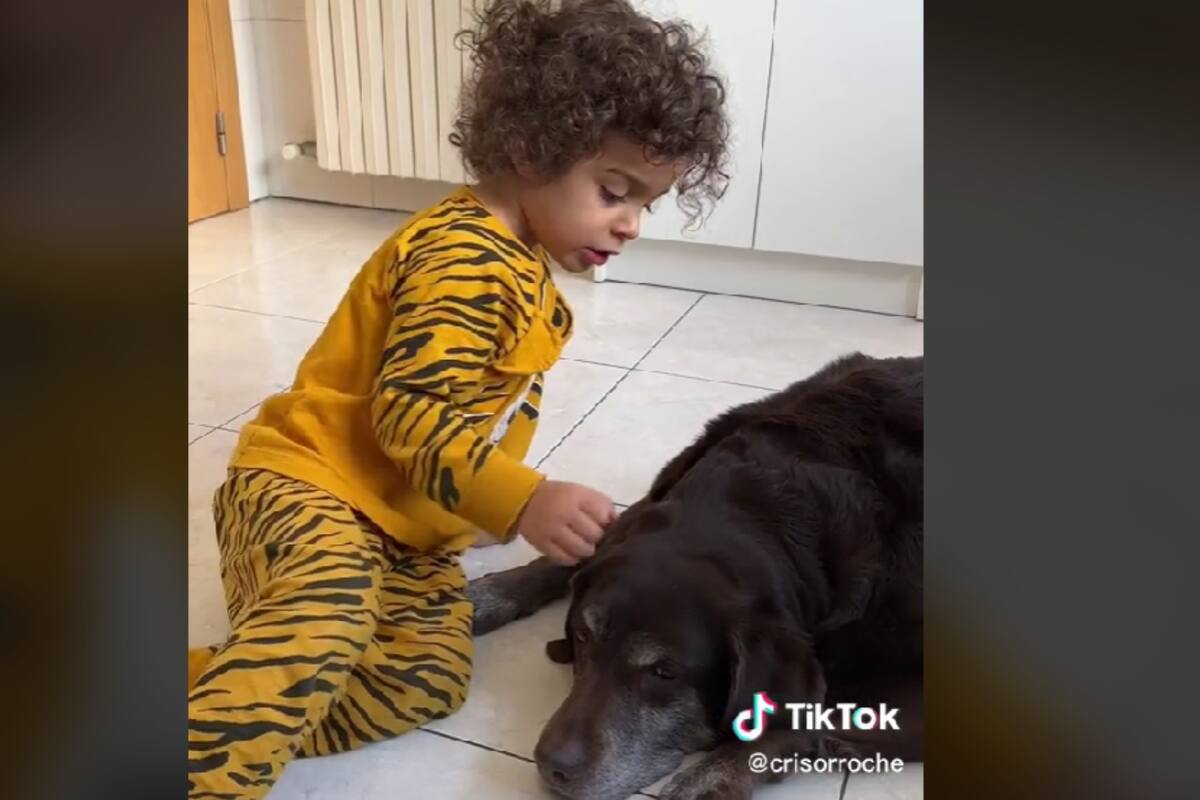 TikTok: Bebé le da una lección a su madre sobre que a los animales no se les debe golpear