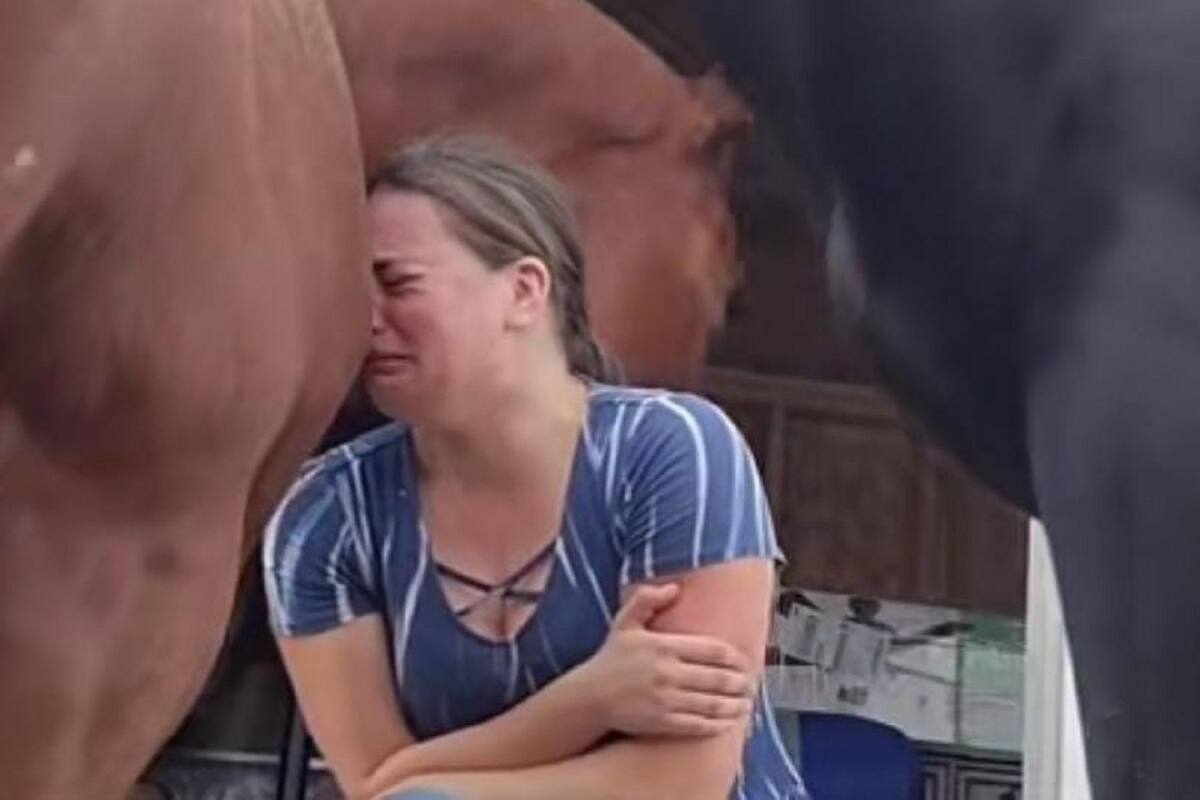 VIDEO VIRAL: Caballo “consuela” a su cuidadora al verla llorar