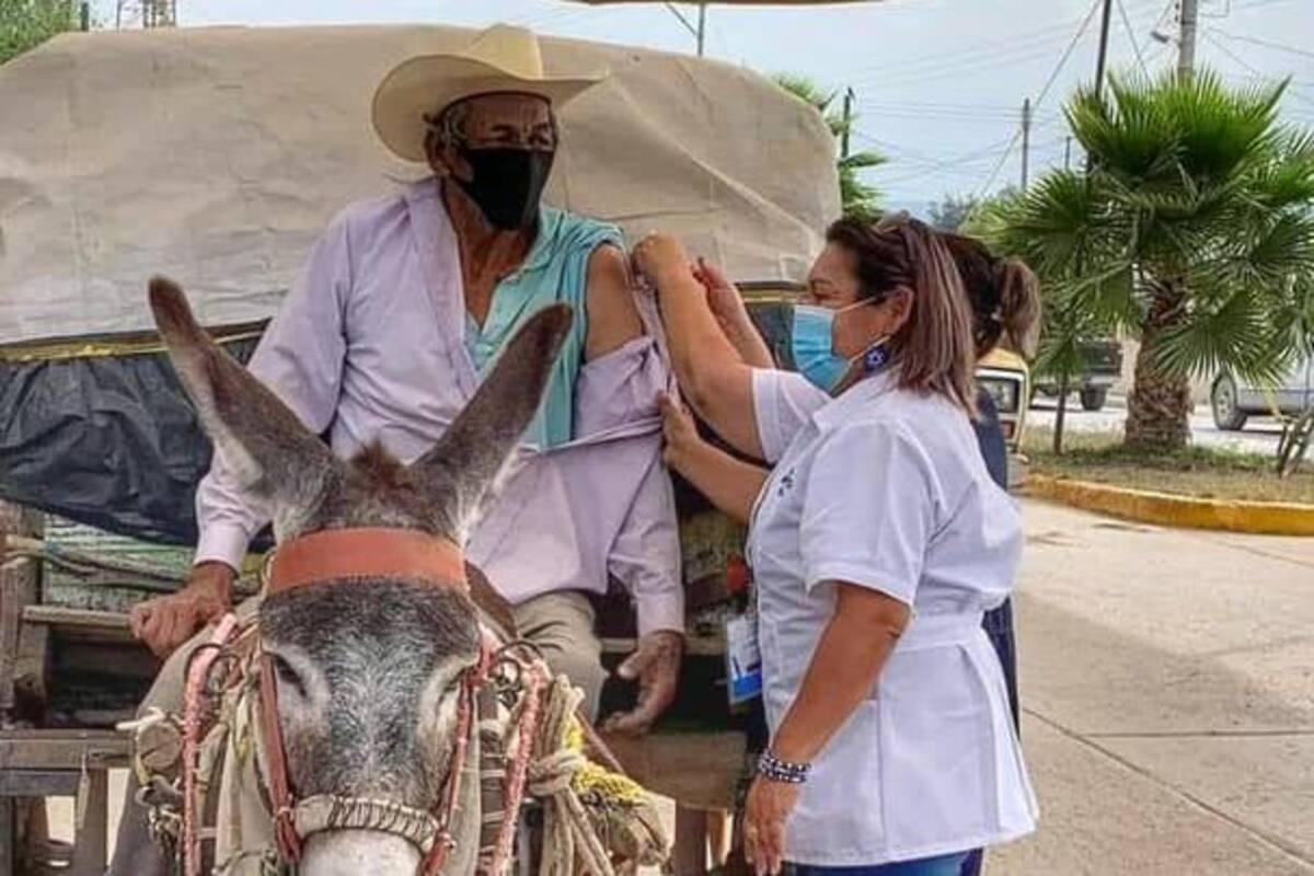 Querer es poder: Abuelito llega en burro a vacunarse