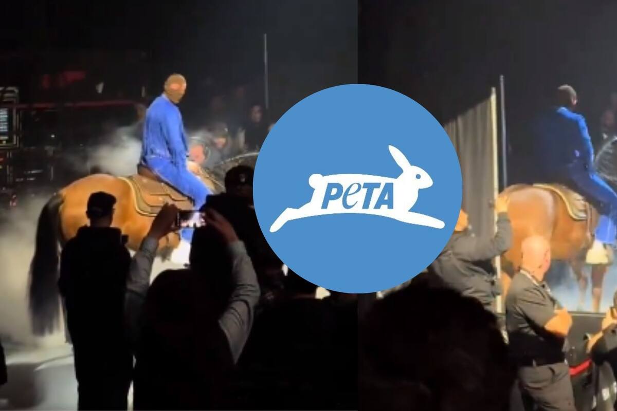 PETA se pronuncia contra Bad Bunny por maltrato animal
