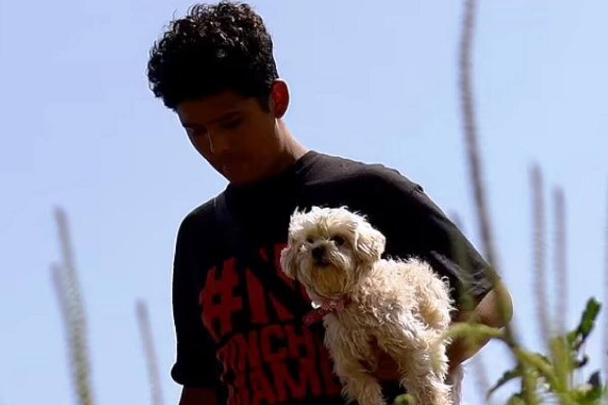 La triste despedida de Brayan y su perrita "Brandy", regalo de su madre fallecida