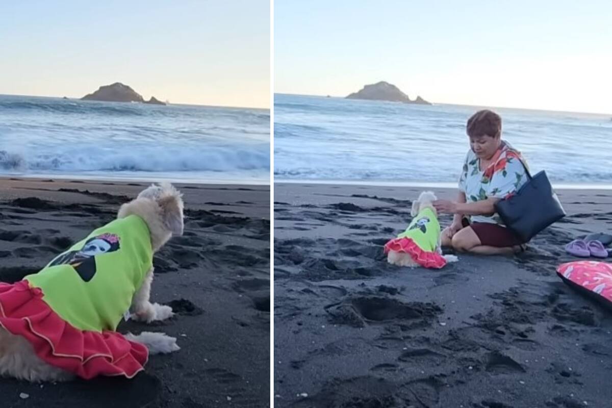 VIDEO: Familia le da el último adiós en la playa a su perrita con enfermedad terminal